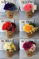 選べる6カラー・ミニカップアレンジ　プリザーブドフラワー