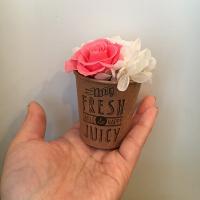 選べる6カラー・ミニカップアレンジ　プリザーブドフラワー