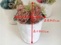 【プチボーテ】プリザーブドフラワーアレンジメント 母の日ギフト お祝い プレゼント 送料無料