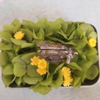 【SALE】森の動物カードスタンド・バンビ