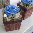 【SALE】男性へのギフトにおすすめ♪ブルーモダンボックス