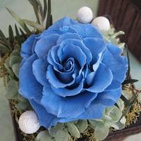 【SALE】男性へのギフトにおすすめ♪ブルーモダンボックス