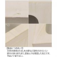 お祝ギフト人気No.1! 時を刻むお花【花時計・シャビー】キュート