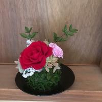 水のお手入れ不要!和モダン苔玉風プリザーブドフラワーアレンジ