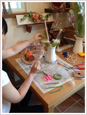 ディプロマコース