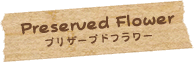 プリザーブドフラワー